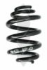 SPIDAN 86852 Coil Spring
